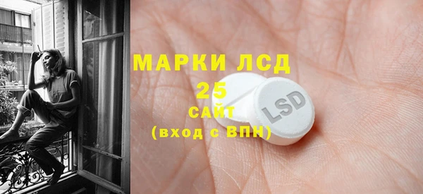 шишки Белокуриха