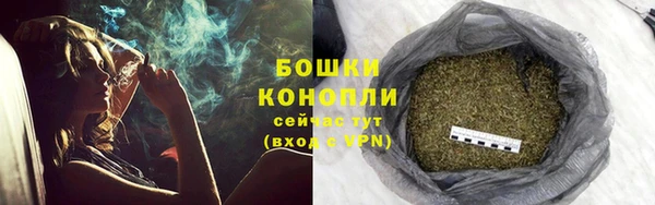 соль ск Снежинск