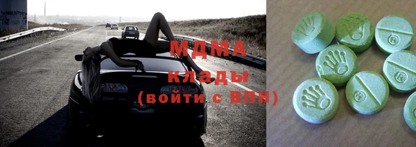 шишки Белокуриха