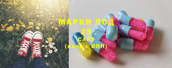 шишки Белокуриха