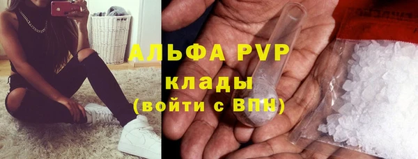 spice Беломорск