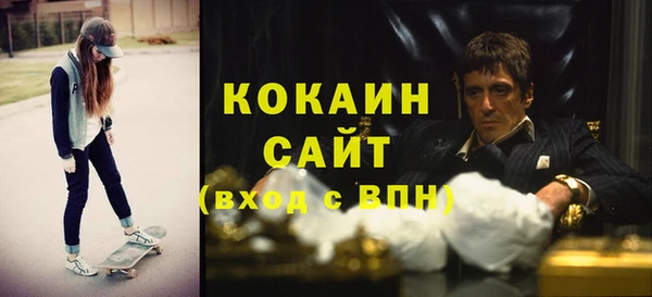 шишки Белокуриха