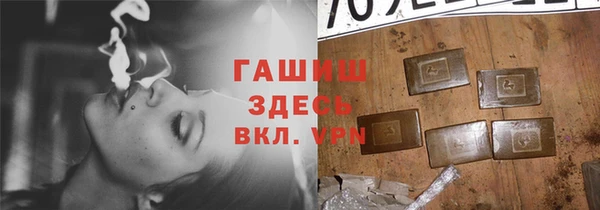 шишки Белокуриха