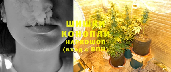 шишки Белокуриха