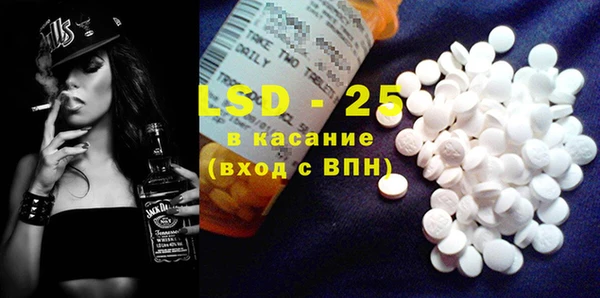 шишки Белокуриха