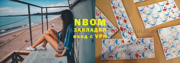шишки Белокуриха