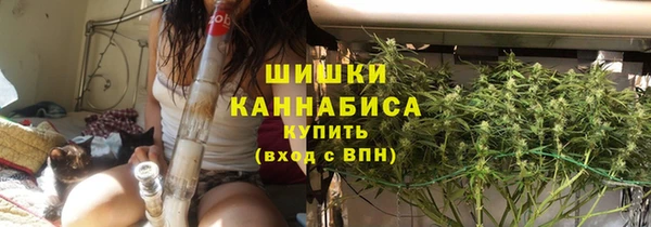 spice Беломорск